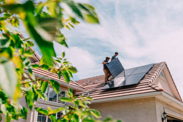 Best Roof Gutter Cleaning  in Sylvester, GA
