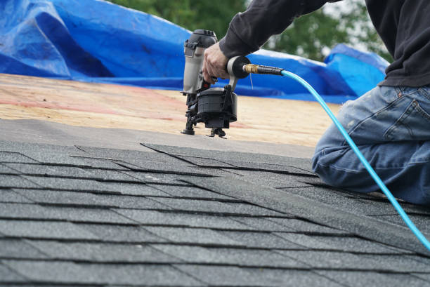 Best Roof Gutter Cleaning  in Sylvester, GA